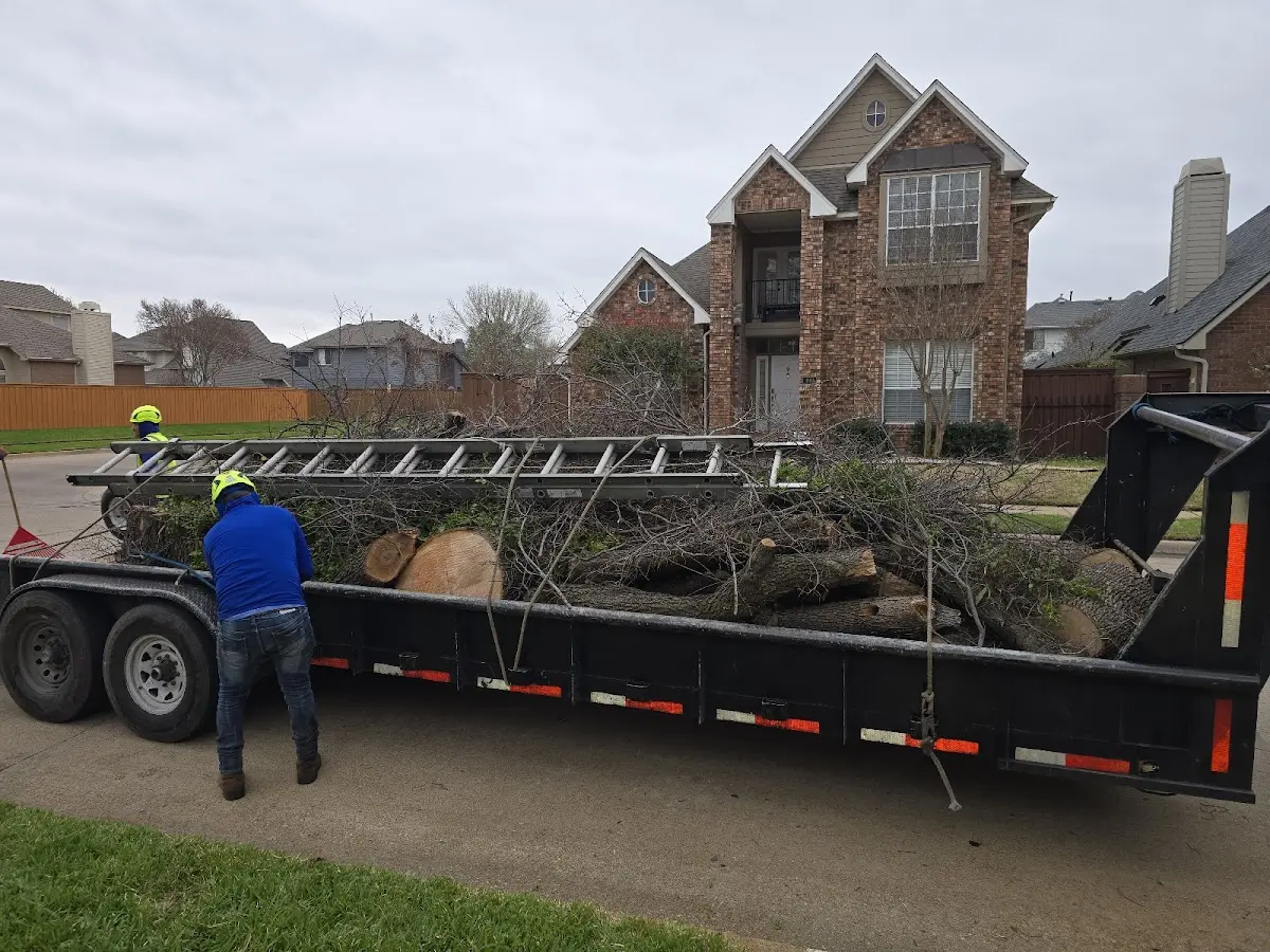 Expert Lot Clearing with proper safety equipment in Georgetown